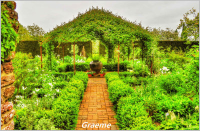Featured Gallery