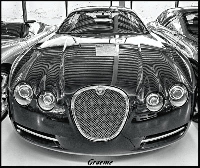 Featured Gallery