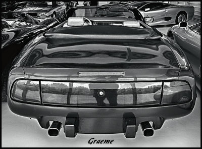 Featured Gallery