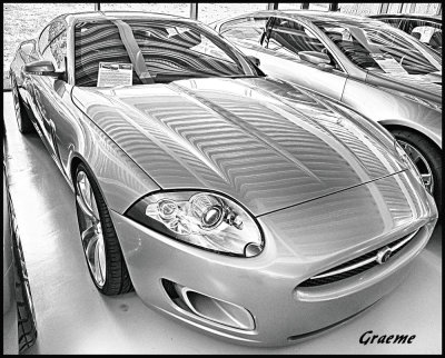 Featured Gallery