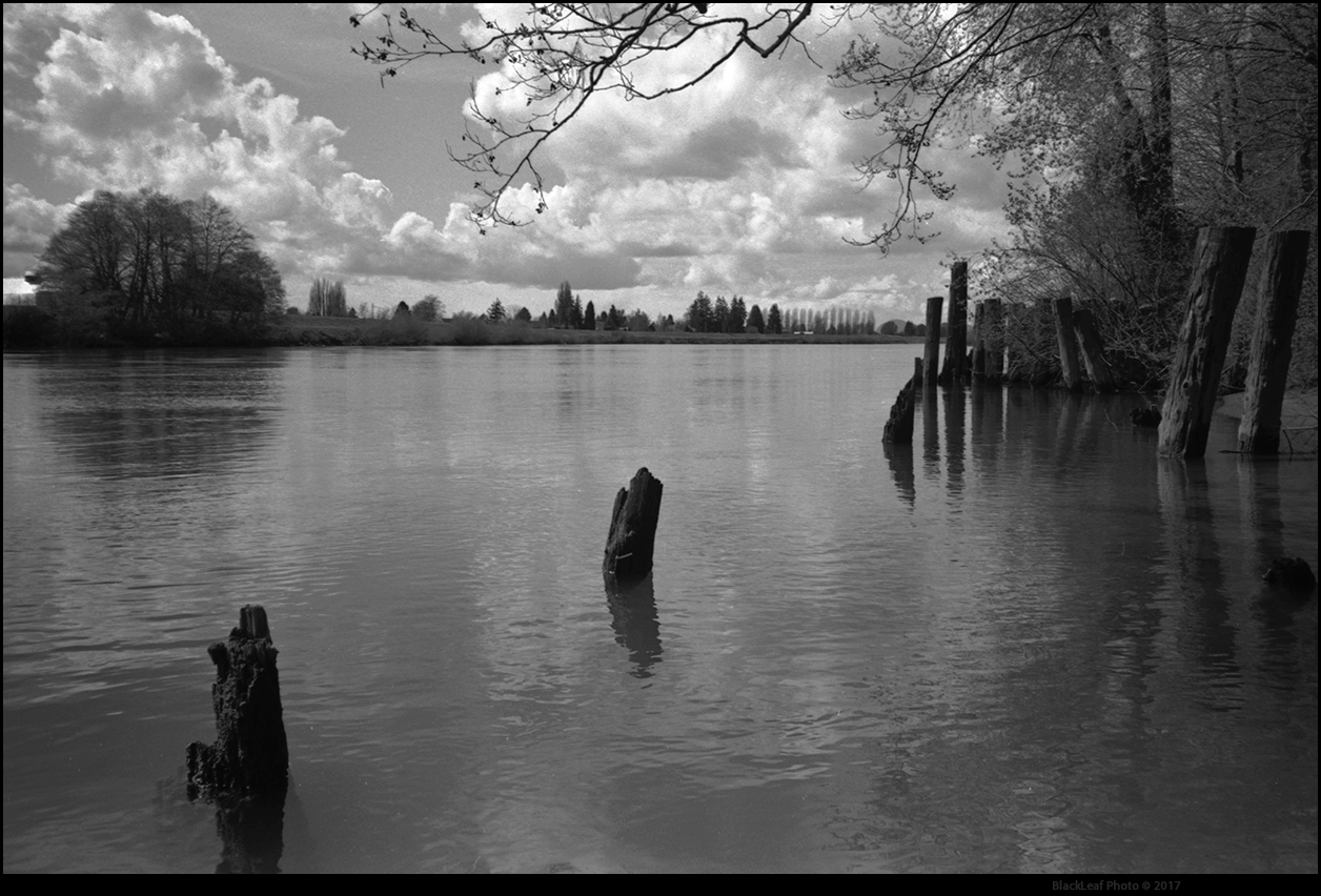 165595956.gKuwpPw9.Skagit.jpg