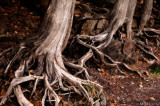 www.mikelentzphotography.com
