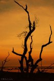 www.mikelentzphotography.com