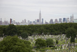 Skyline - Staffords Grave Cemetery