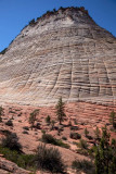 Checkerboard Rock, Zion