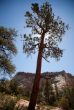 Zion National Park, Utah