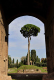 13_Palatine Hill.jpg
