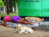 la Loca de los perros