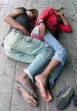 Cada dia un compa�ero diferente
