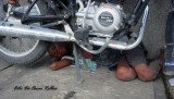 Es increible pero realidad, un ni�o apricionado por una motocicleta. A boy under a motorcycle