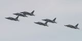 Breitling Jet Team 6 Albatros L 39C