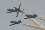 Breitling Jet Team 6 Albatros L 39C