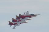 Patrouille Suisse (Tiger F-5E)