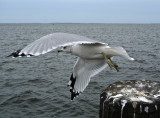 Takeoff