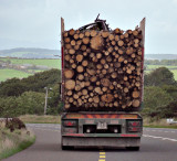Knock on wood