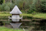 Crannóg