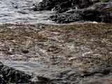 Kenmare Bay