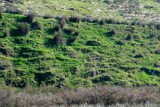 County Waterford