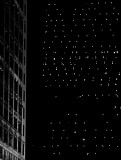 Manhattan -Starry, Starry Night
