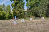 7337 Taylor bike