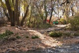 7534 Trail.jpg