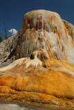 _MG_0214Orange Spring.jpg