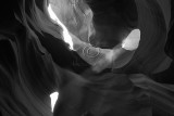 IMG_7066 2B&W Antelope.jpg