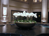 August 2010 Part 2 033.JPG