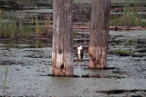 par terre_2010 07 26_0113--entre deux-2000.jpg