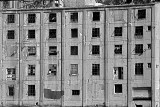 Windows Along the Waterfront
