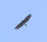 DSCN3038.jpg