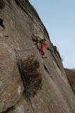 Froggatt, Heartless Hare - some side runner!