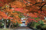 Bishamon-Dou Temple