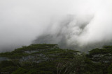 c4206 Ko'olau