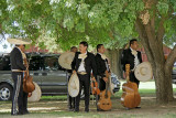 Selma Mariachi 2009 -106A.jpg