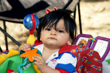 Selma Mariachi 2009 -123A.jpg