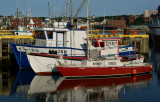 DSC01455 - Red, White and Blue