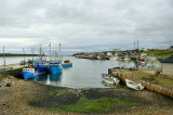 DSC09322 - Port au Choix