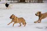 DSC00262 - On the Run