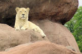 Surveying her kingdom