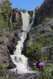 Bell Island Excursion 004