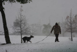 Snowstorm - Notice Pavilion in Background