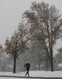 Not Even Falling Snow Can Interrupt This Lady Jogger