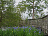 First Day of Spring 2006
