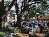 Under the Oaks