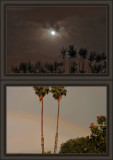 Night & Day