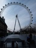 Wheel by Kate Westrop