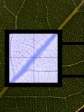 Structurescope, by Alistair