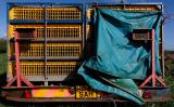 Trailer Trash by jono slack