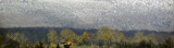 Snow on the Ridge